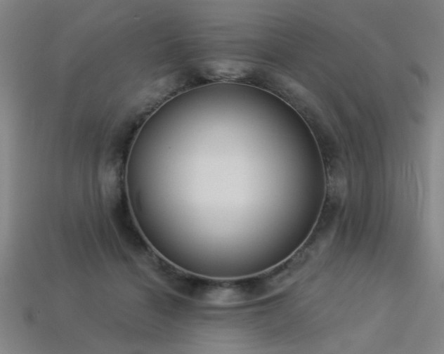 X0000113280460200909141229