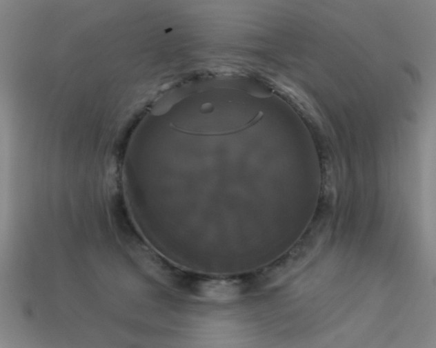 X0000113280465200909141229