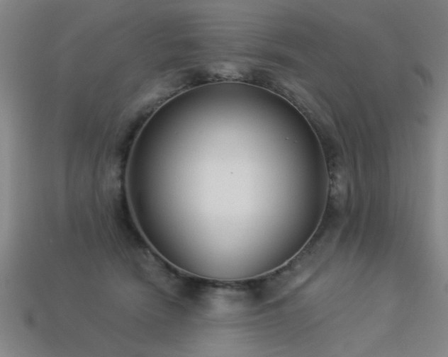 X0000113280466200909141229