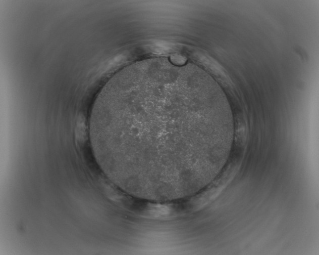 X0000113280469200909141229