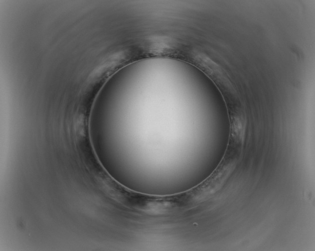 X0000113280470200909141229