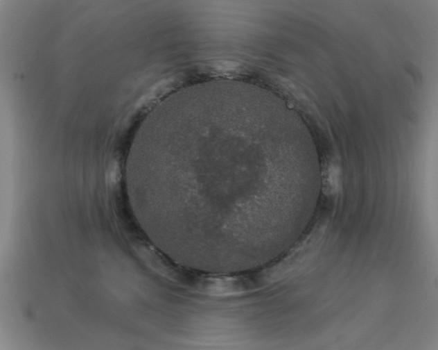 X0000113280472200909141229