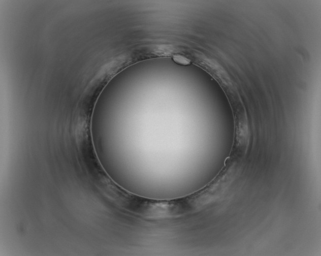 X0000113280473200909141229