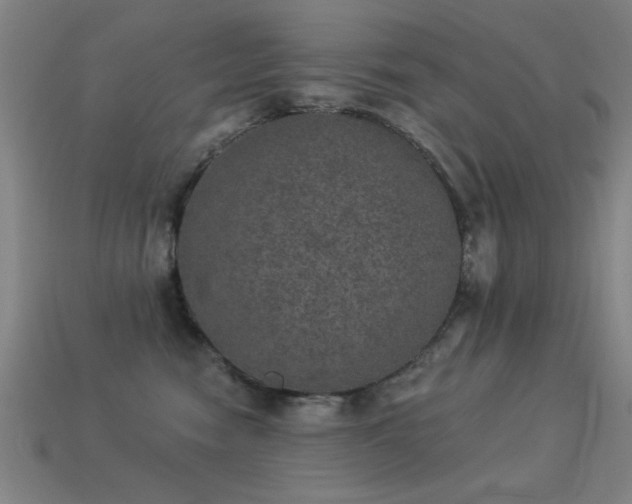 X0000113280474200909141229