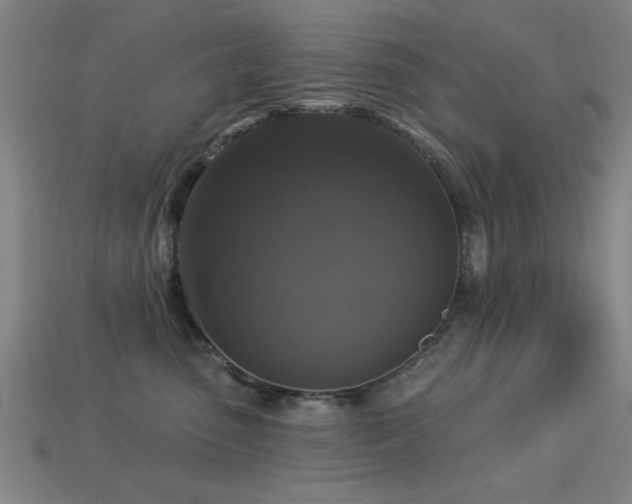 X0000113280475200909141229