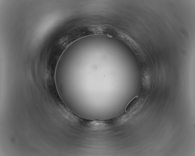 X0000113280477200909141229