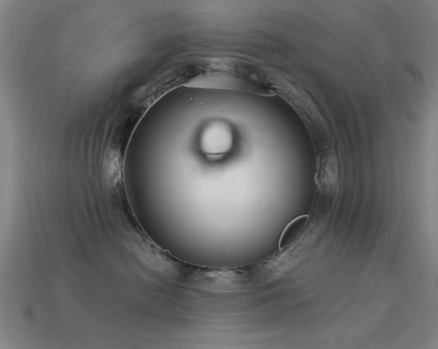 X0000113280478200909141229