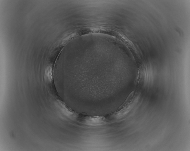 X0000113280479200909141229