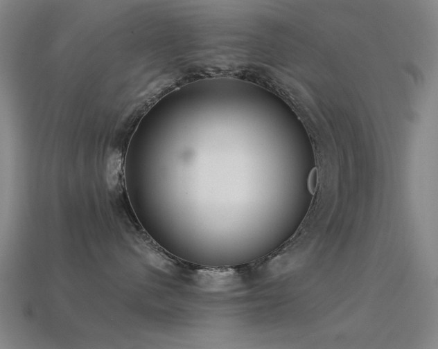 X0000113280480200909141229