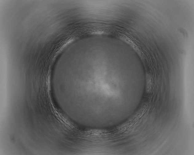 X0000113280482200909141228