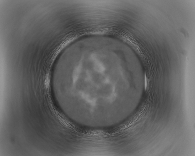 X0000113280483200909141228