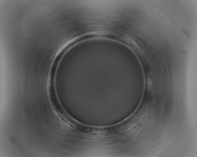 X0000113280484200909141228