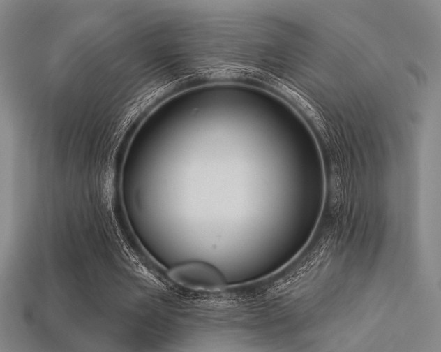 X0000113280485200909141228