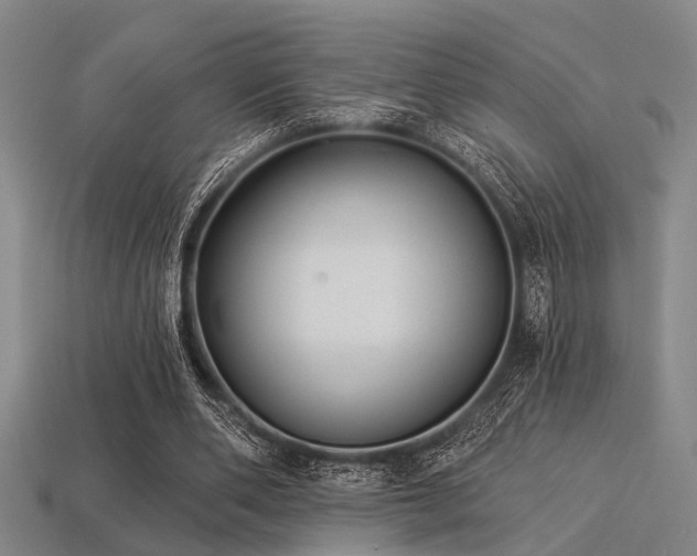 X0000113280486200909141228