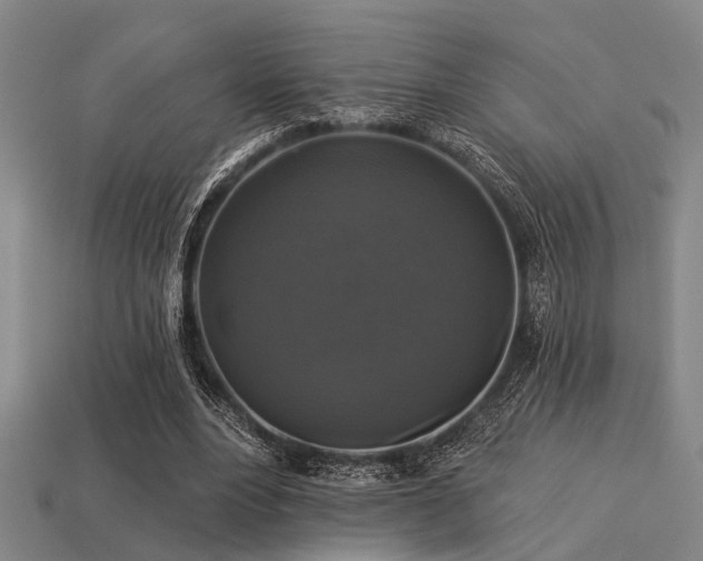 X0000113280488200909141228