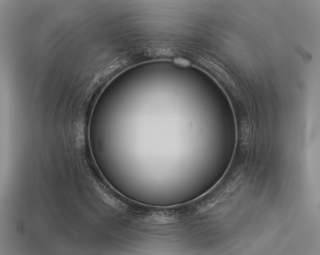 X0000113280489200909141228