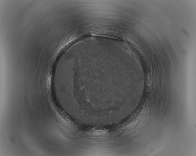 X0000113280491200909141228