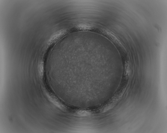 X0000113280494200909141228