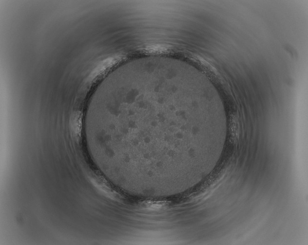 X0000113280495200909141228