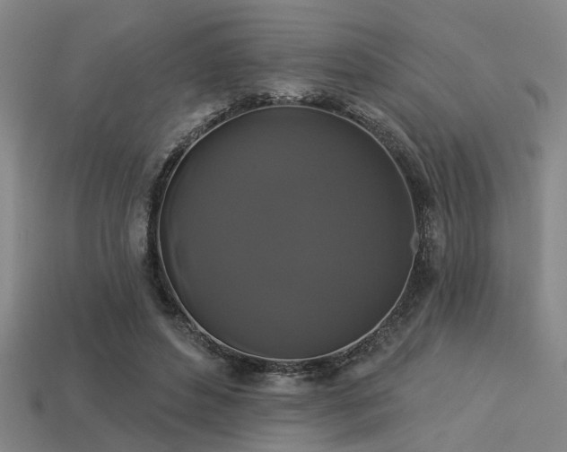 X0000113280496200909141228