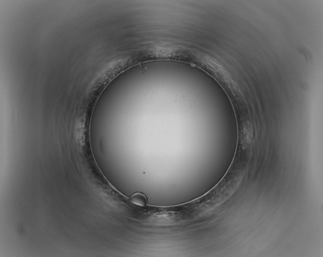 X0000113280497200909141228