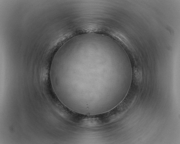 X0000113280499200909141228