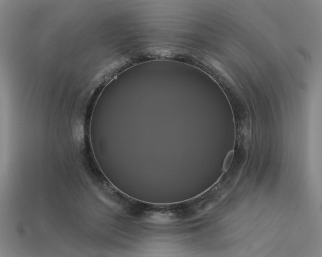 X0000113280500200909141228