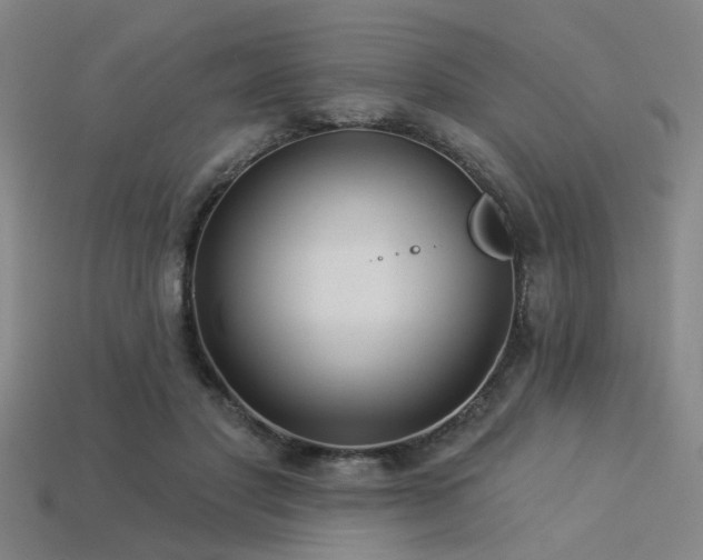 X0000113280501200909141228