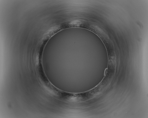 X0000113280504200909141228