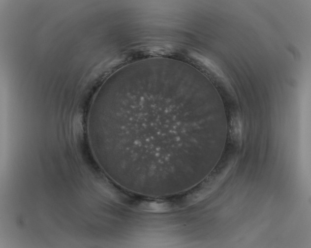 X0000113280506200909141228