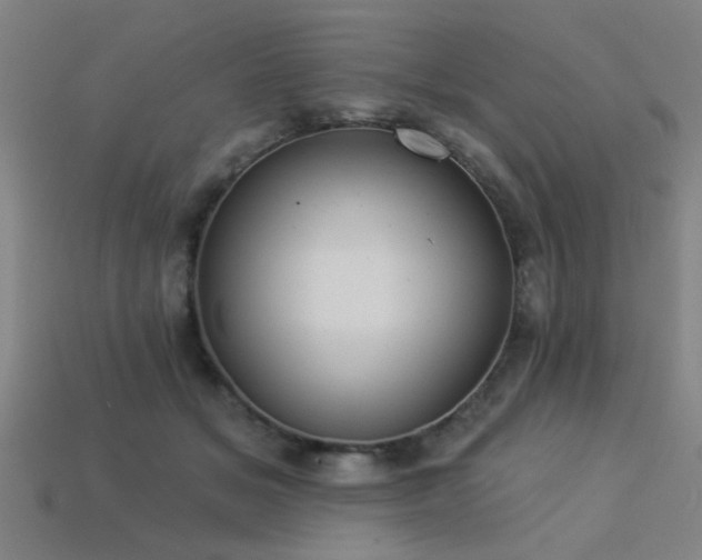 X0000113280509200909141228