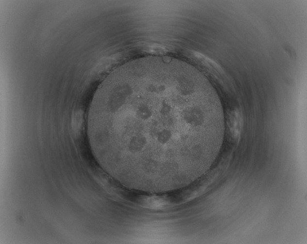 X0000113280511200909141228