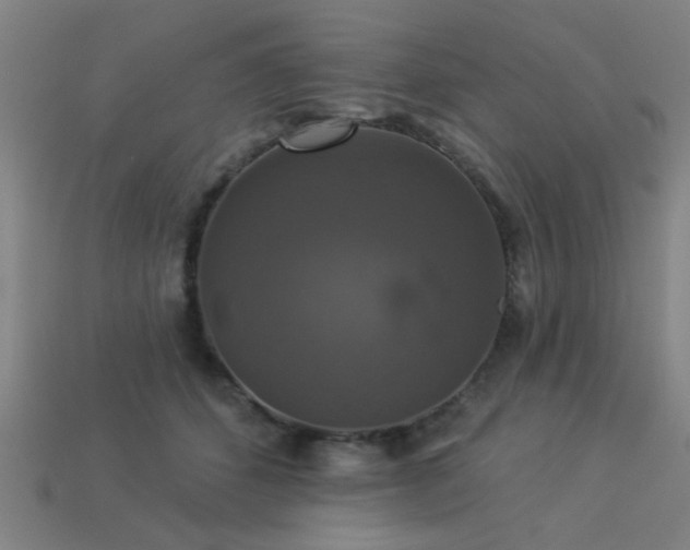 X0000113280512200909141228