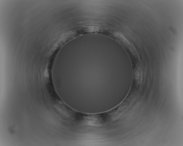 X0000113280516200909141228