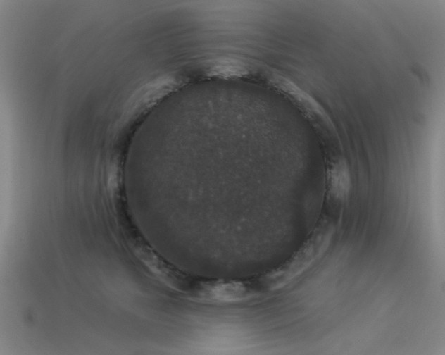 X0000113280517200909141228