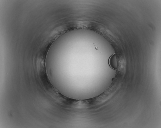 X0000113280522200909141228