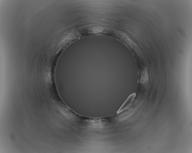 X0000113280524200909141228