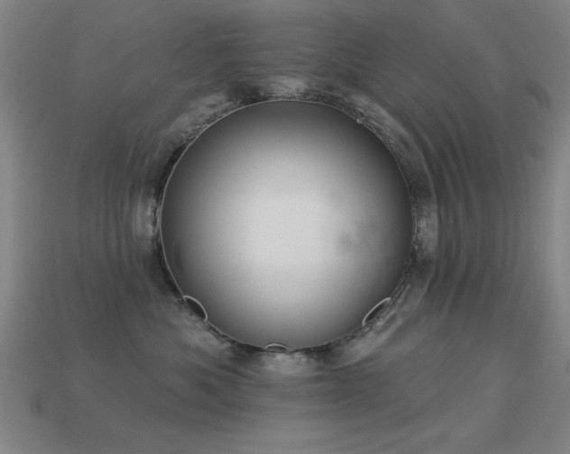 X0000113280525200909141228