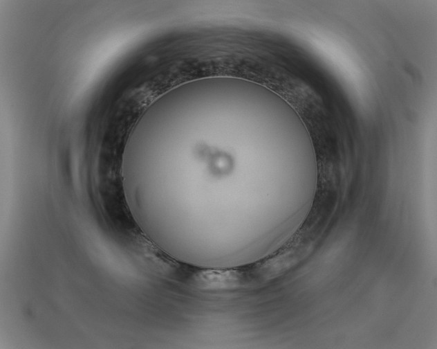 X0000113280526200909141228