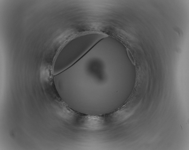 X0000113280528200909141228