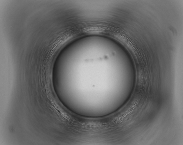 X0000113280529200909141227