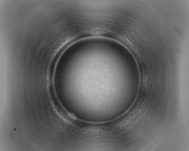 X0000113280530200909141227