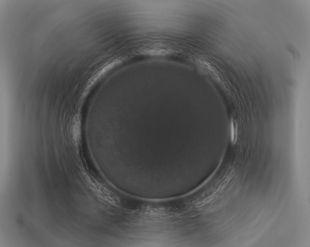 X0000113280531200909141227