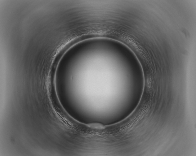 X0000113280532200909141227