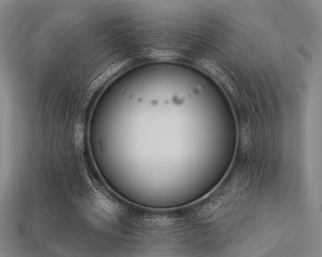 X0000113280533200909141227