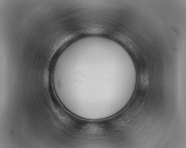 X0000113280534200909141227