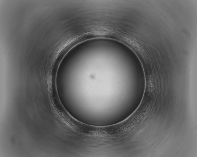 X0000113280535200909141227