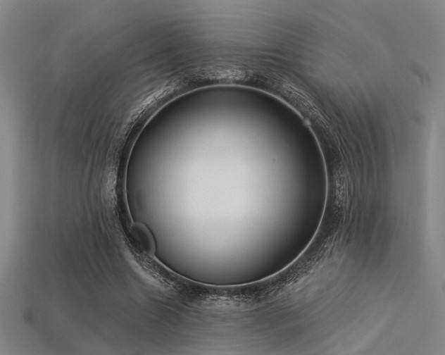 X0000113280538200909141227