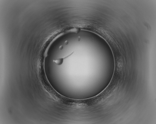 X0000113280539200909141227