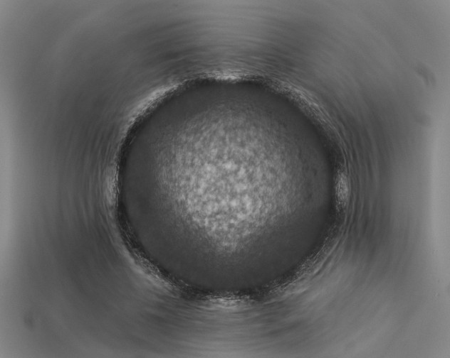 X0000113280540200909141227